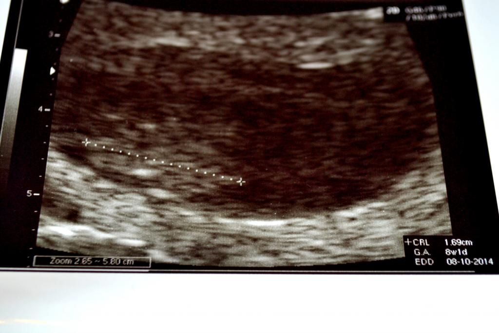  photo DSC_0434_zpse0fb2f41.jpg