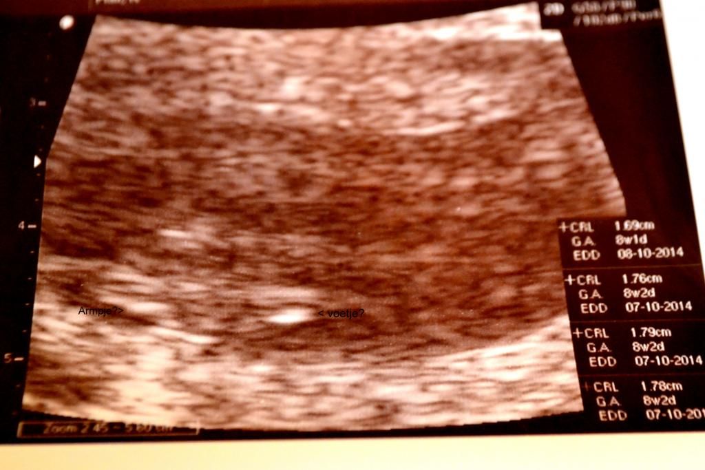  photo DSC_0452_zpsd1e6f9e5.jpg