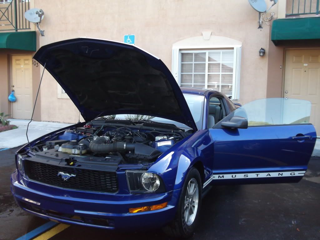 Image 8 of 2005 FORD MUSTANG (HIALEAH)…