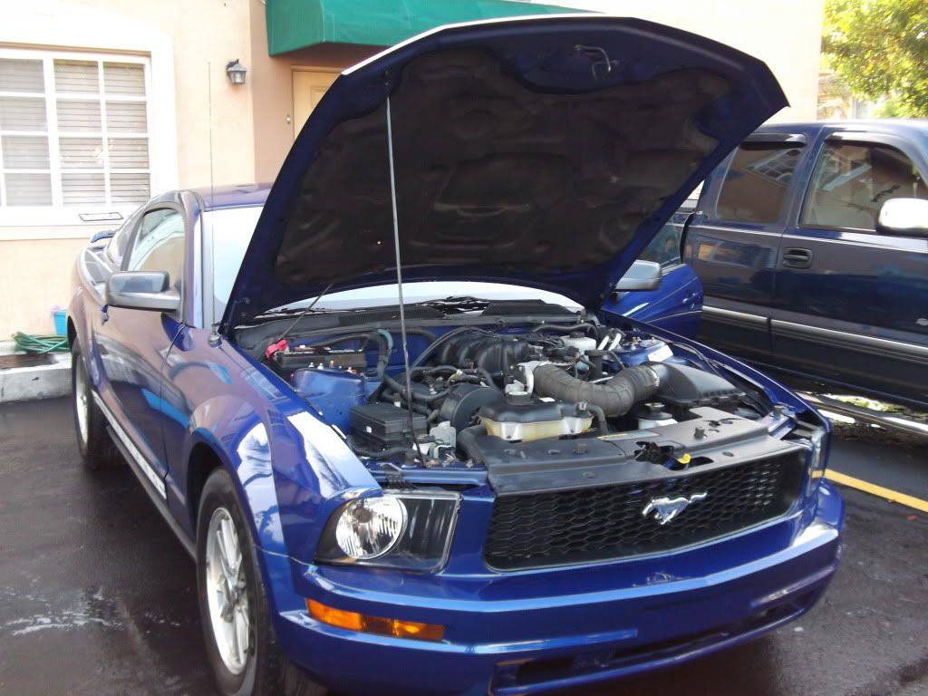 Image 9 of 2005 FORD MUSTANG (HIALEAH)…