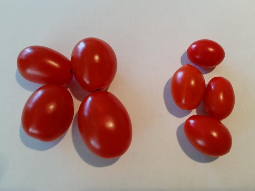  photo grapescomparison.jpg