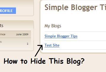blogger hide blogs