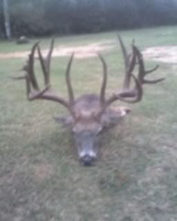 bp buck