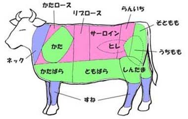 เนื้อวัวญี่ปุ่น