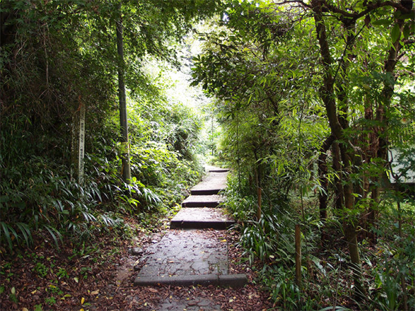 7 เส้นทางชมธรรมชาติในคามาคุระ