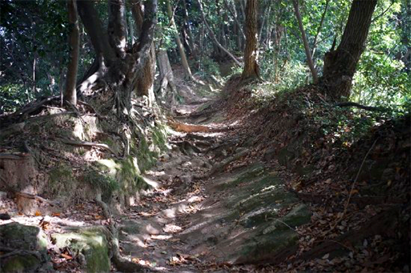 7 เส้นทางชมธรรมชาติในคามาคุระ