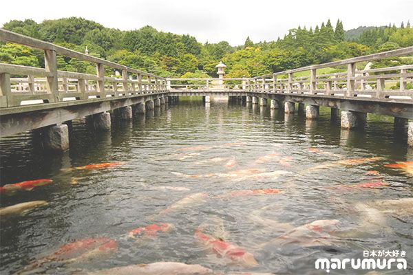 สวนซังเคเอ็น