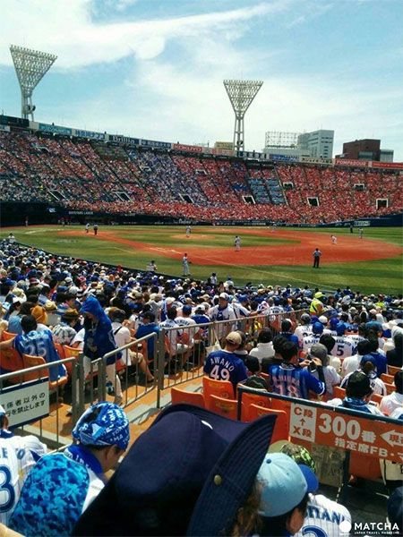 การชมเบสบอลในญี่ปุ่น
