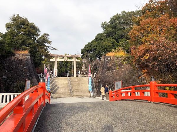 Takeda Shrine Yamanashi ใบไม้แดง