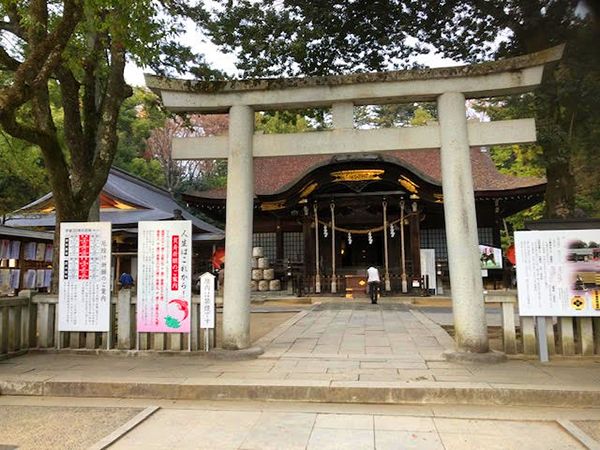 Takeda Shrine Yamanashi ใบไม้แดง