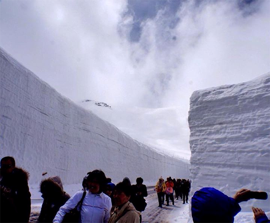 ตะลุยกำแพงหิมะกับทริป 2 วัน เดินทางออกจากชินจุกุ：ภาควันที่ 2 ตอนจบ การเดินทางตลุยเส้นทางอัลไพล์รูท อันแสนมันส์