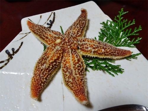 Starfish Amakusa