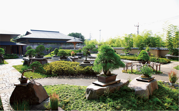 The Omiya Bonsai Art Museum