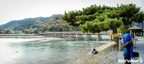 ทริปเที่ยวเองที่ Kansai : ตอนที่ 4 รักจัง Arashiyama