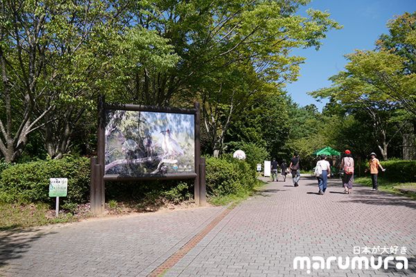 Toki Forest Park