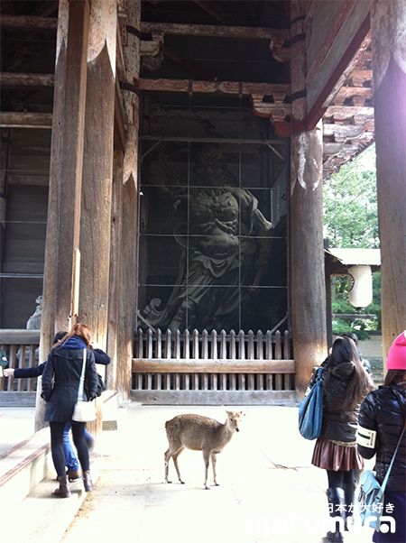 เที่ยวญี่ปุ่นในคันไซกับรายการผจญภัยไร้พรมแดน ตอน 2 “วิถีแห่งศรัทธา”