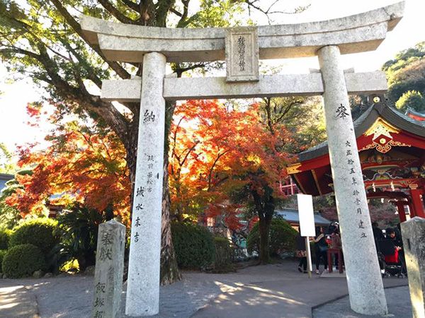 Yutoku Inari Shrine ซากะ