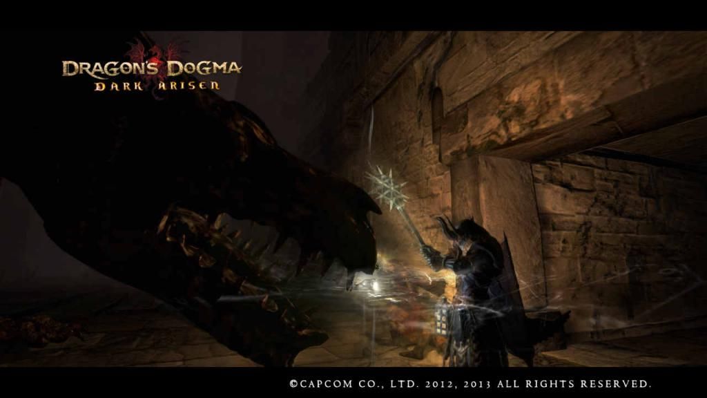 DragonsDogma_DarkArisenScreenshot_5_zps31d3fd7a.jpg