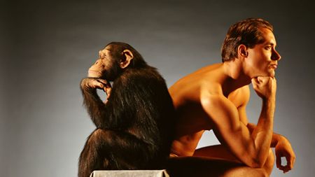 similitudes en mono y hombre