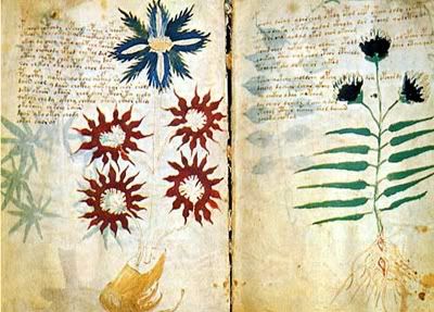 voynich manuscrito