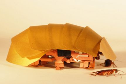 robot cucaracha