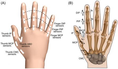 la mano humana