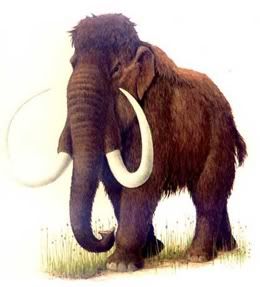 mamut