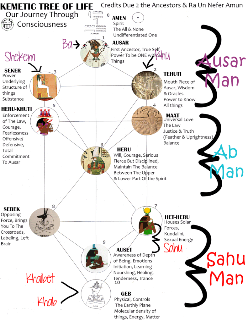 Kemetic Tree Of Life Diagram Wiring Diagram Database