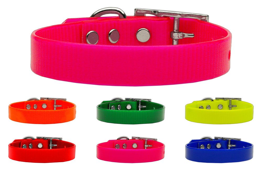 Tropical Jelly Coated Nylon Waterproof and Dirt Resistant Pet Dog Collar